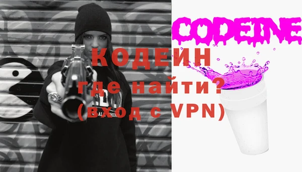 индика Абинск
