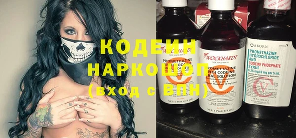 индика Абинск