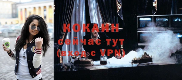 индика Абинск